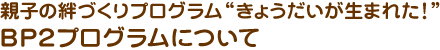 BP2プログラムについて